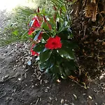 度假居 La Casa Di Via Lungomare *